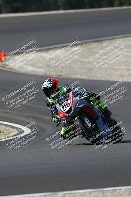 media/Sep-21-2025-TrackDaz (Sun) [[277c75b276]]/B Group/1120am (Turn 3)/